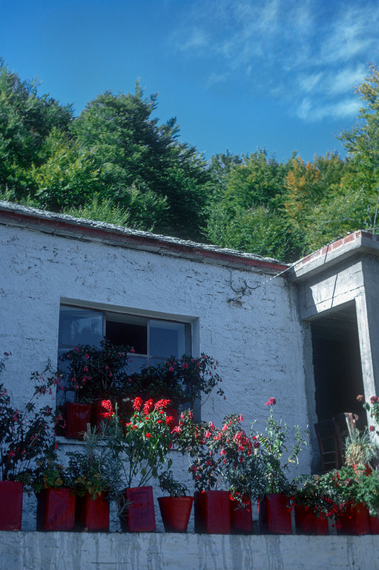 Pelion: The guest house of Manthos in Chania