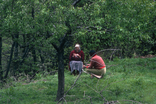 Πήλιον: Η γριούλα πλέκει κουβεντιάζοντας