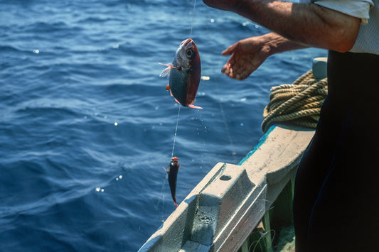 Στην Ουρανούπολι η ψαριά του Πασχάλη