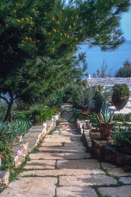 A garden in Vravrona