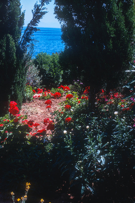 A garden in Vravrona