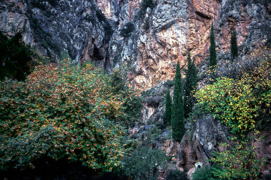 Delphi, the Castalia