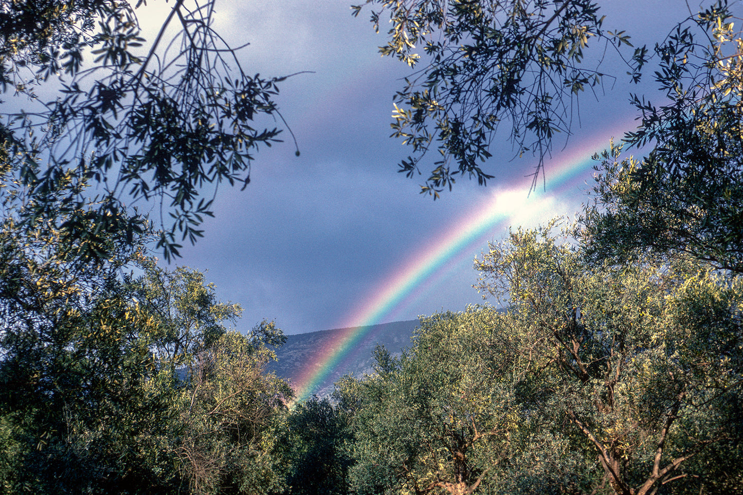 A rainbow in Delphi