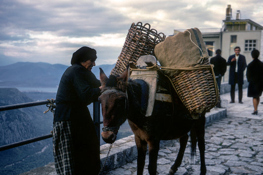 Δελφοί: Η γριούλα φορτώνει το μουλάρι