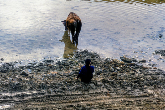 In Metsovo the peasant and her cow drinking water