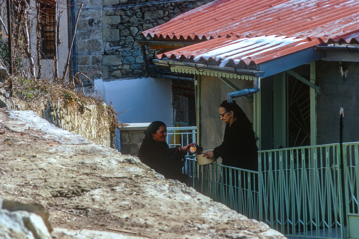 In Metsovo sharing the milk