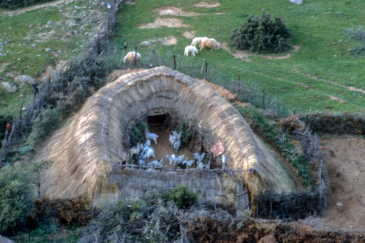 A sheepfold in Meteora