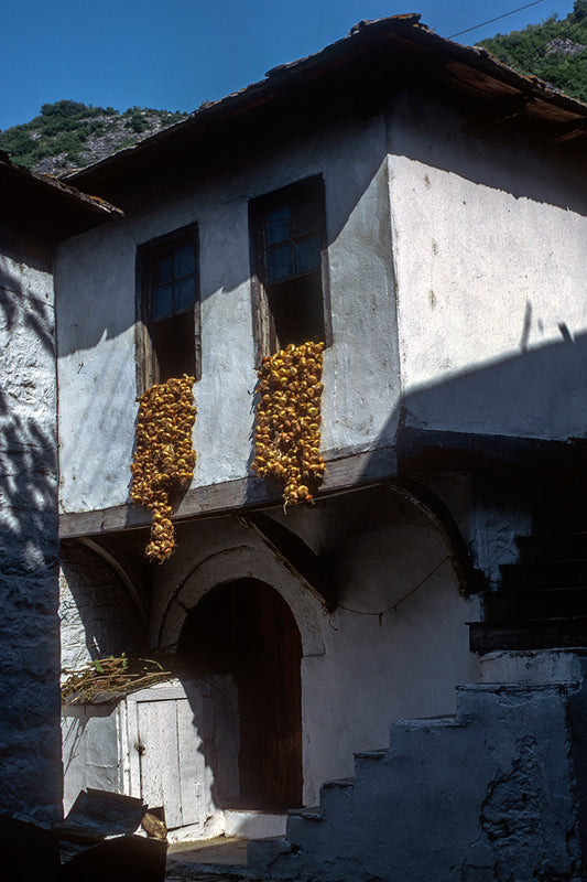 Θάσος, στην Παναγία σκόρδα έτοιμα για πούλημα