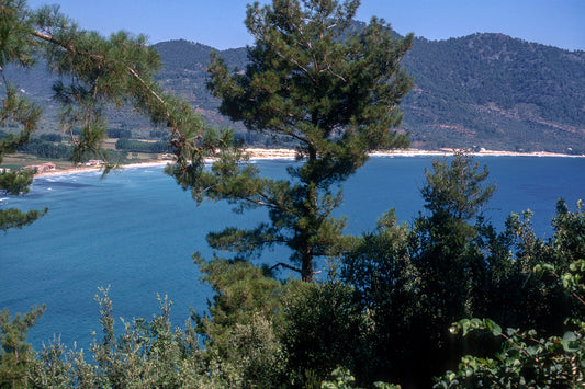 Landscape in Potamia in Thassos