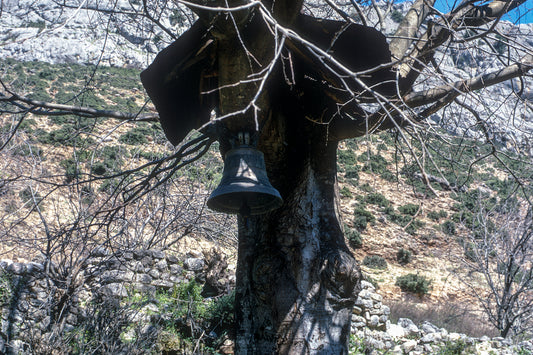 Trikala the tree with a bell