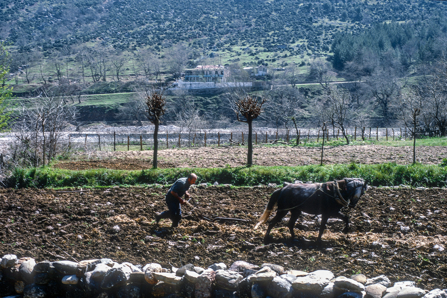 Τρίκαλα, ο γεωργός στον κάματο της ημέρας