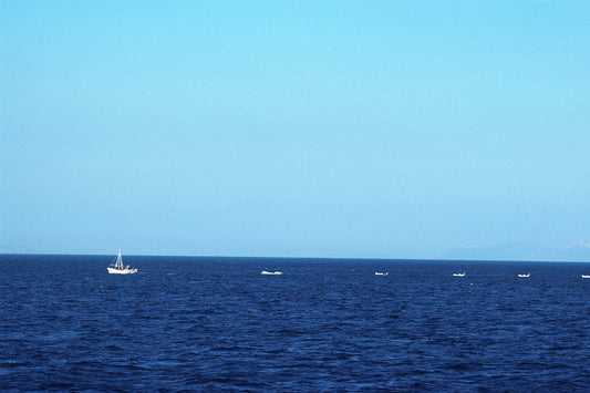 Τα γρι-γρι στην Ιθάκη