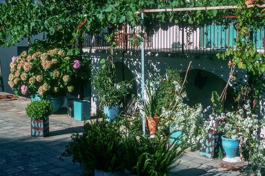 Μία ανθισμένη αυλή στην Ιθάκη