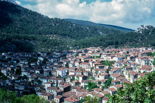 Mytilene, a view of Agiassos