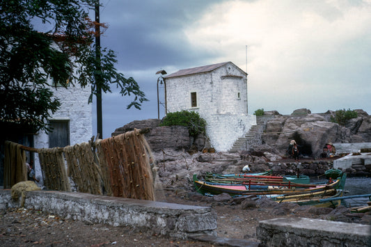 Μυτιλήνη: Συκαμιά Παναγιά Γοργόνα