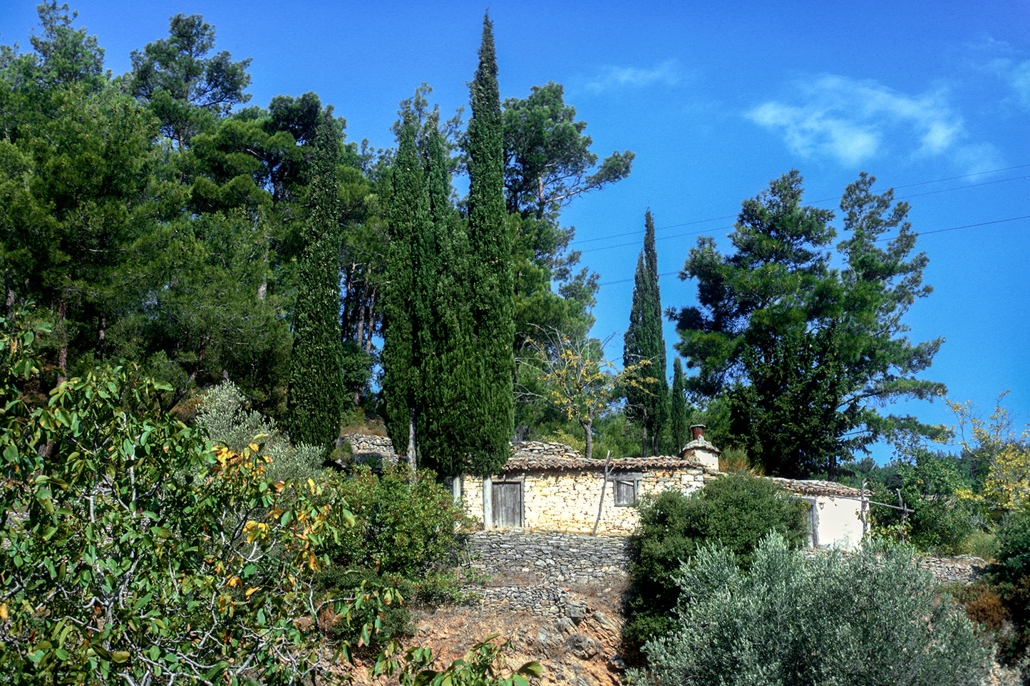 Samos: An old house in the middle of nowhere