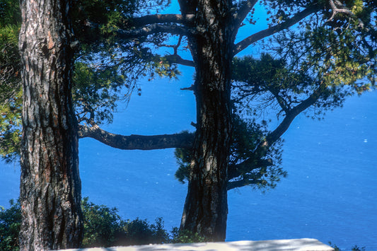 Ένα τοπίο στην Σάμο