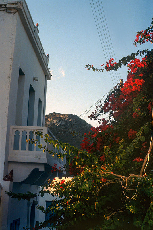 Amorgos island, house with bougainvillea in Katapola