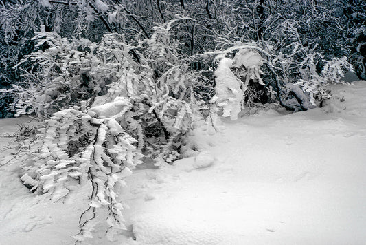 Epirus snowy Katara