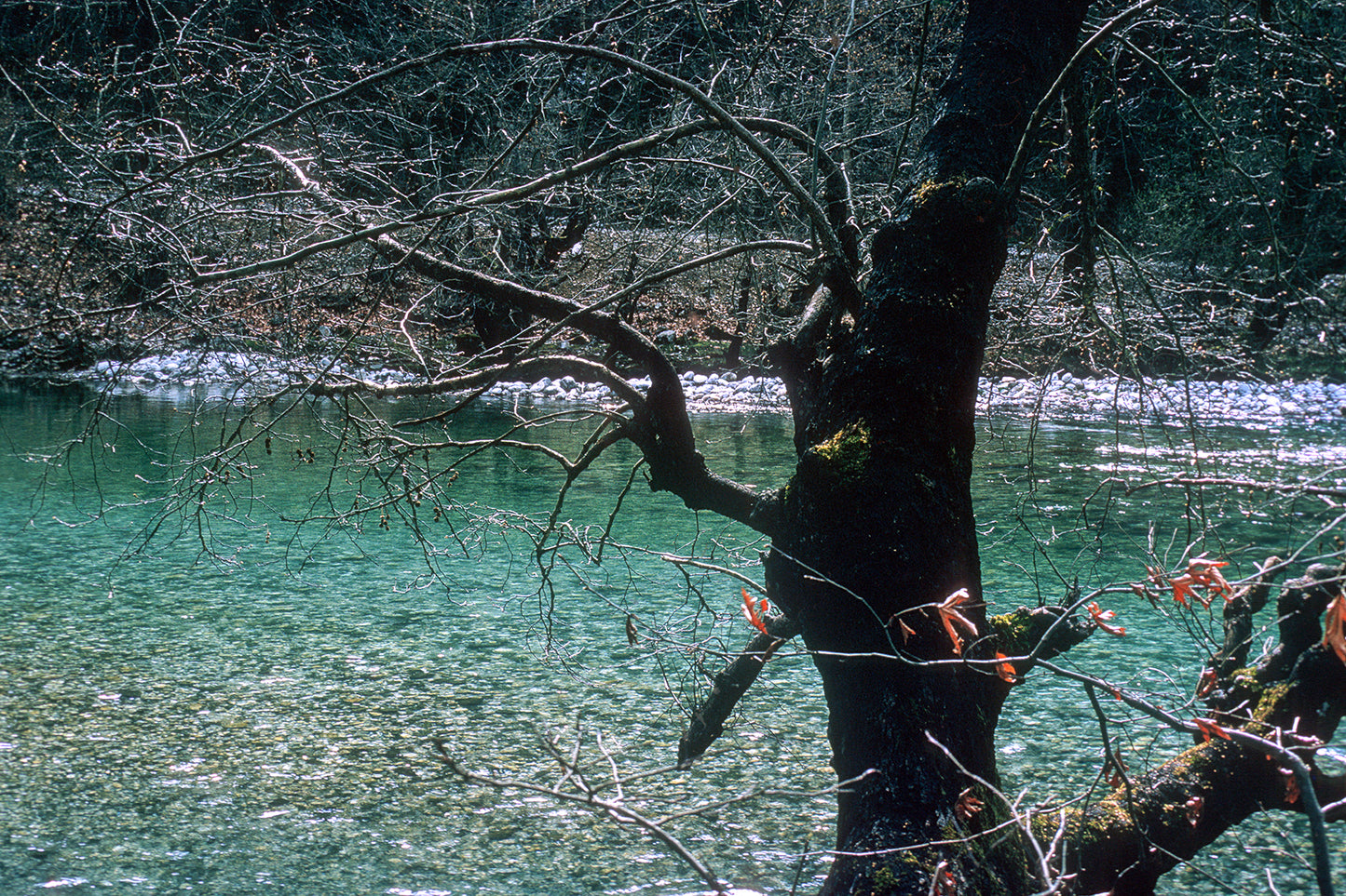 Epirus Voidomatis river