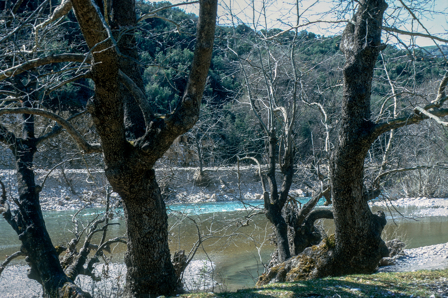 Epirus Voidomatis river