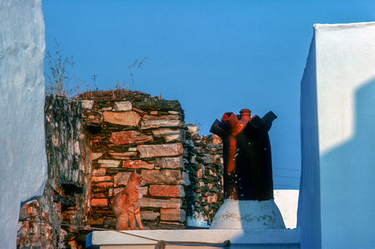 Sifnos, in Artemonas, the chimney and a cat