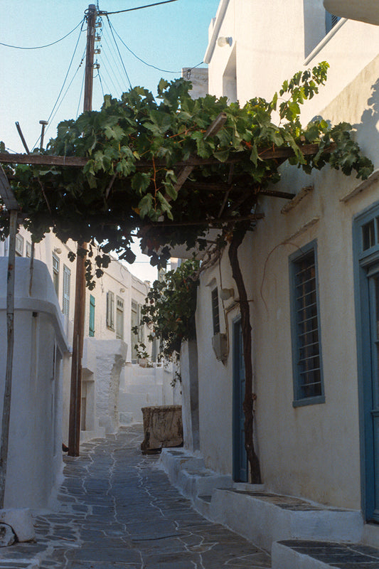 Sifnos a small alley in Kastro