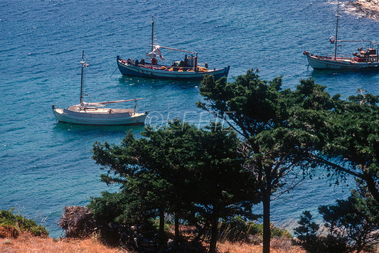 Caiques in Batsi Andros island