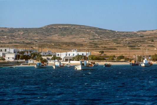 Α caique in Koufonisia