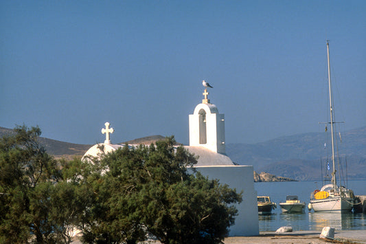 The port of Naxos. A seagul watching