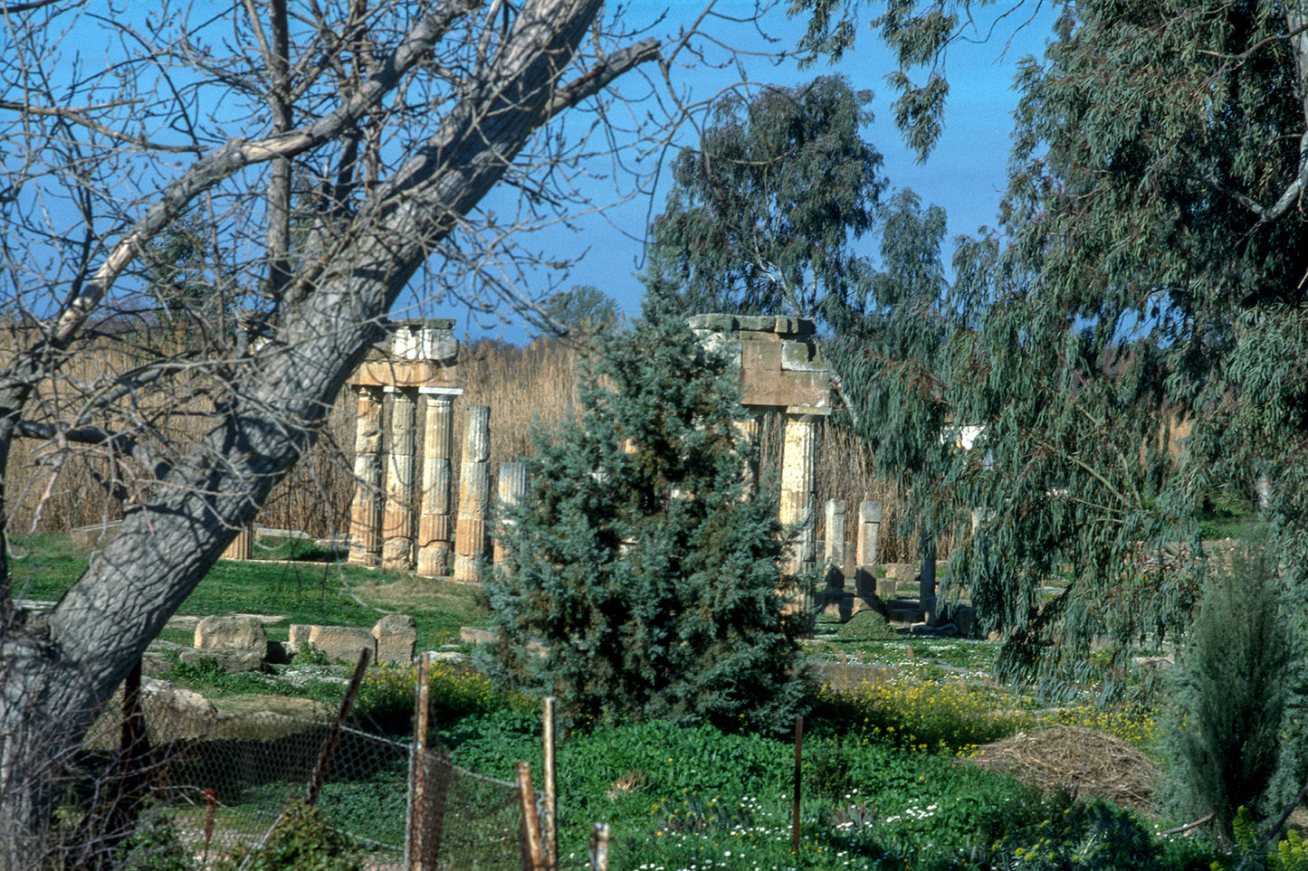 The Temple in Vraona