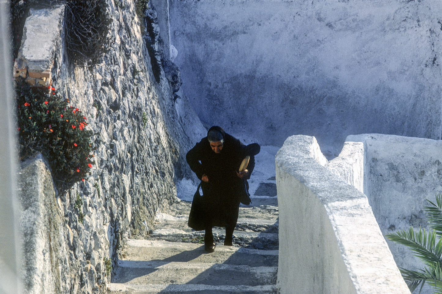 The steps in Santorini