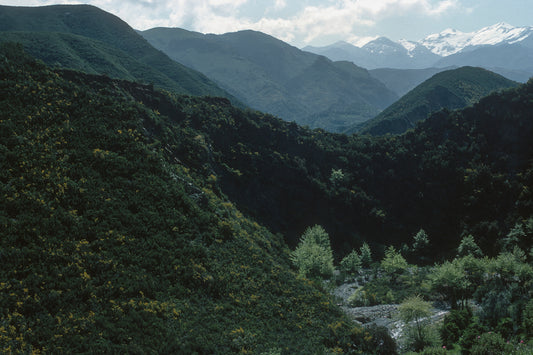 Ένα τοπίο στην Κρήτη