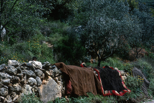 Κρήτη χράμια στο Θέρισο