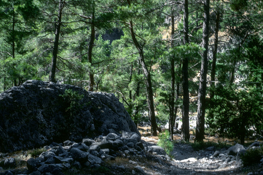 Crete the Samaria canyon