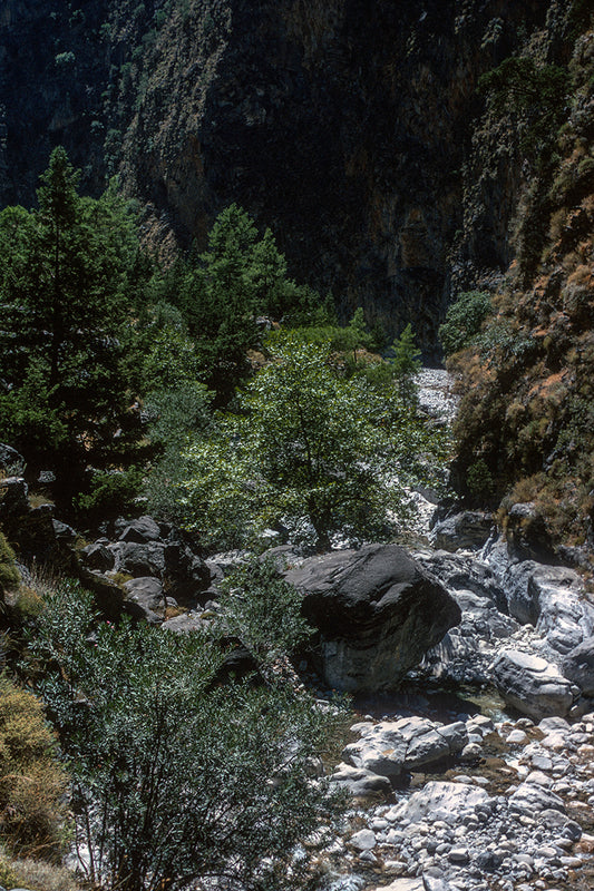 Crete the Samaria canyon