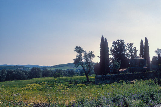 Crete, a landscape near Phaistos