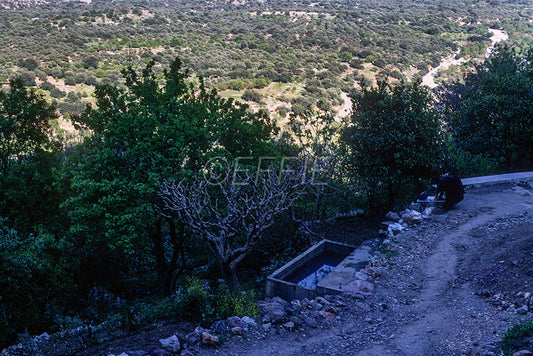 Μια Κρητικιά κάτι πλένει στην άκρη του δρόμου