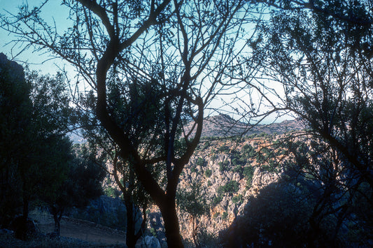 Crete, a landscape near Katharo plateau