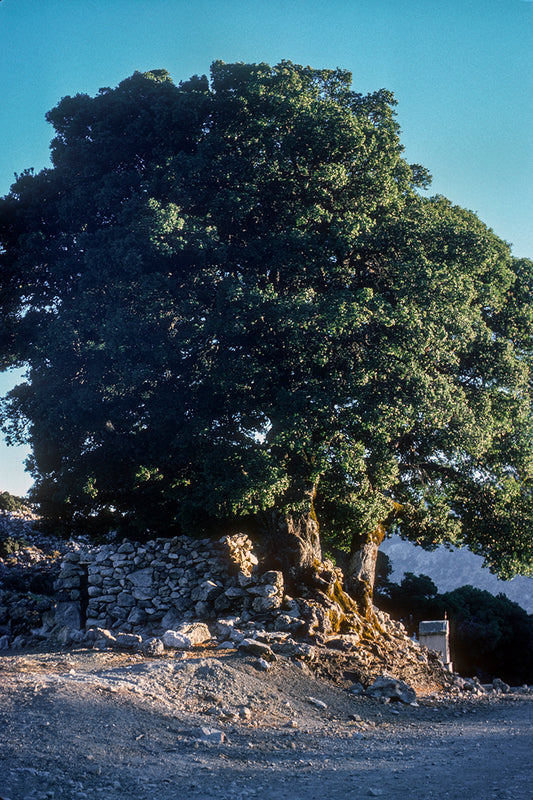 Crete: Driving towards Katharo plateau, a landscape with a chapel