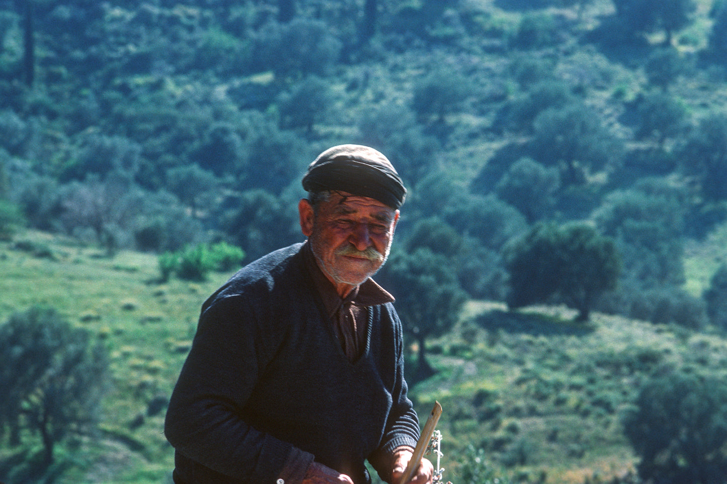 Crete, a Cretan in Phaistos