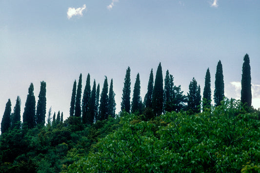 A landscape near Georgitsi in the Peloponnese