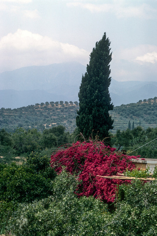 A landscape towards Gytheio