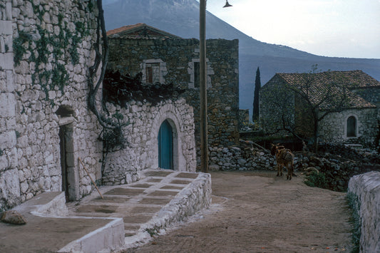 Mani in Oitilo a donkey is patiently waiting