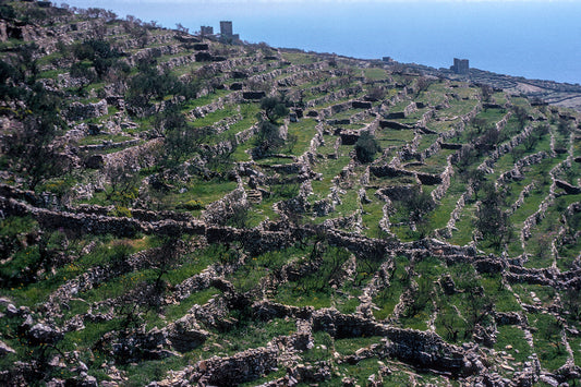 Μάνη στα Άλικα χωρισμένα τα οικόπεδα