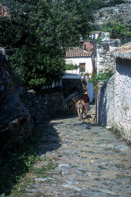 Lagada village in Mani