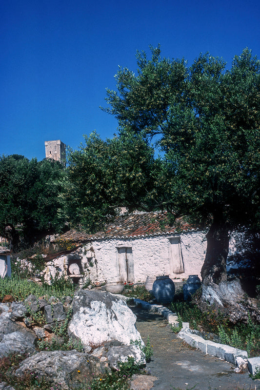 In the village Ageranos in Mani