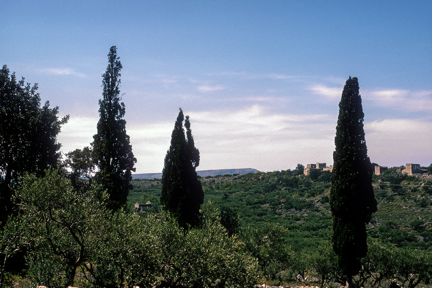 A landscape in Mani