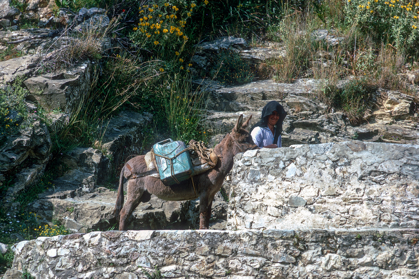 The donkey carrying the water in Mani