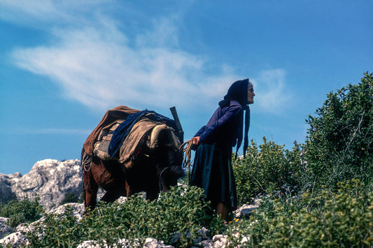 Mani a villager with her mule